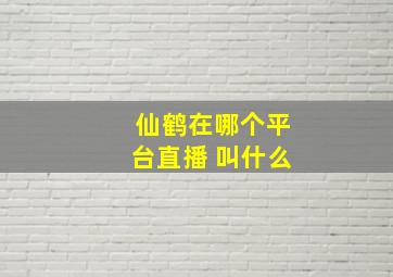 仙鹤在哪个平台直播 叫什么